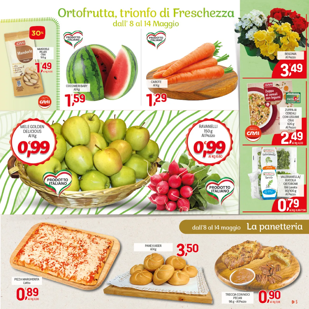 Pagina 5