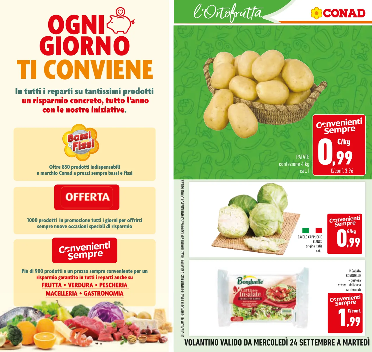 Pagina 8