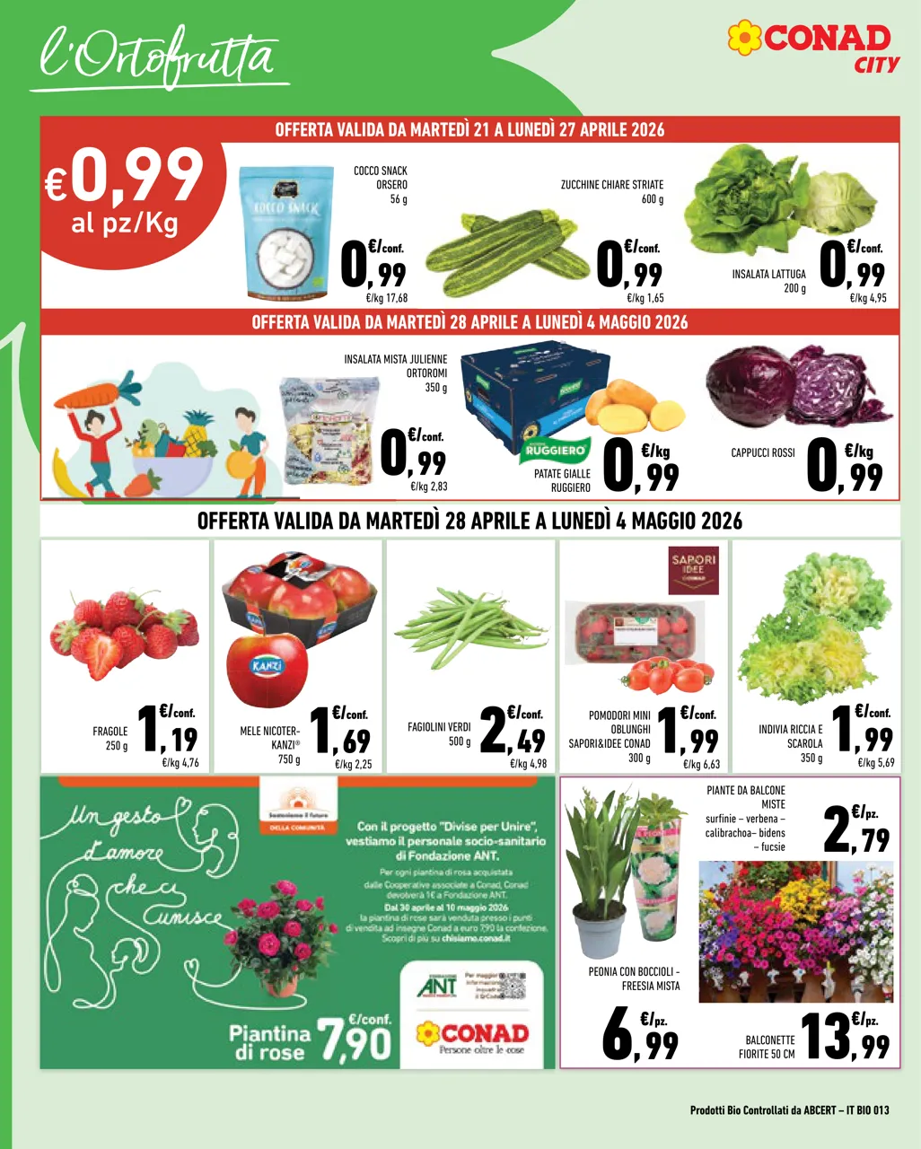 Pagina 6