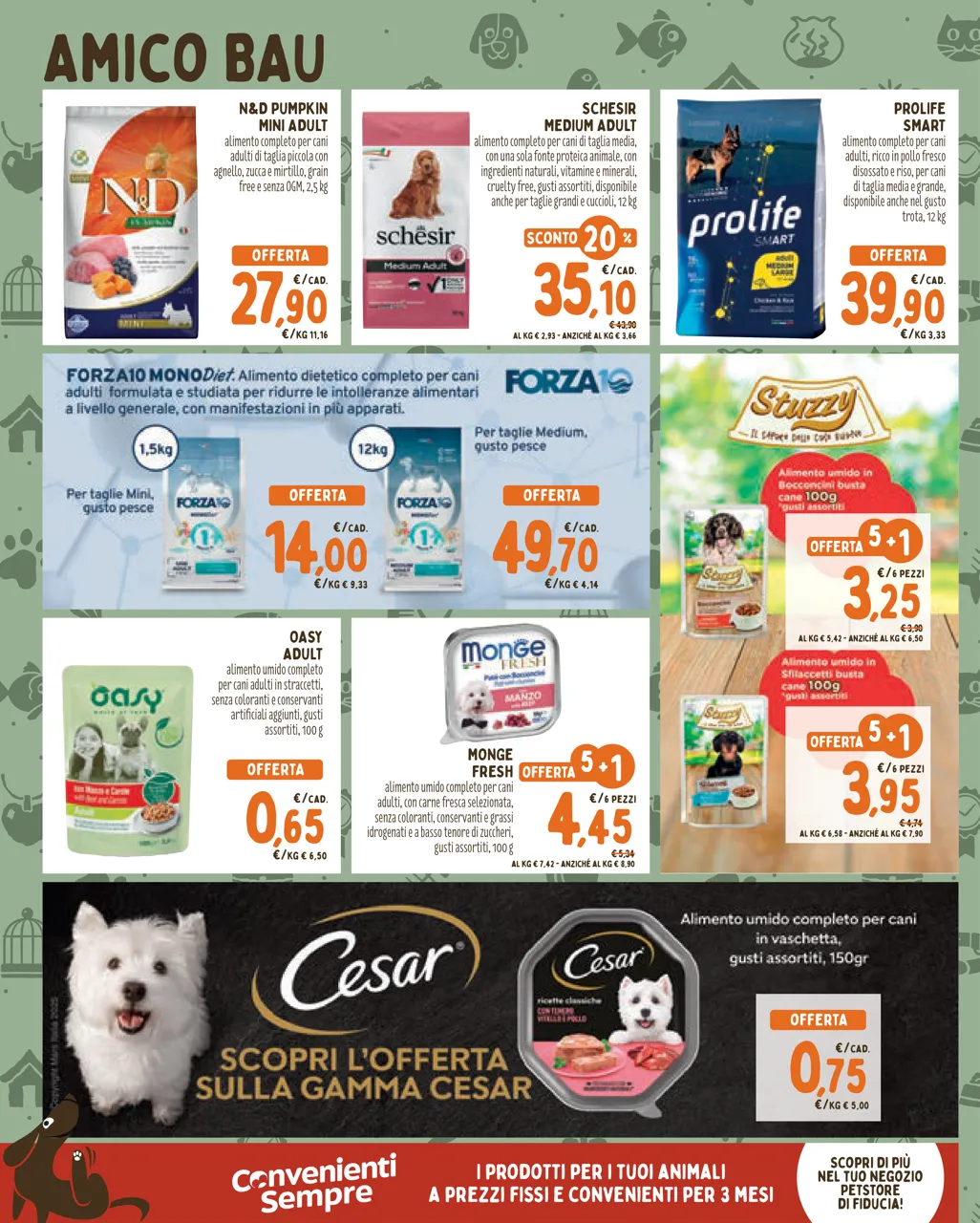 Pagina 2