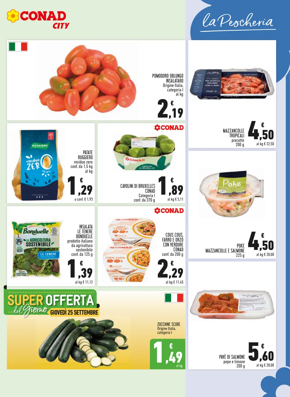 Pagina 5