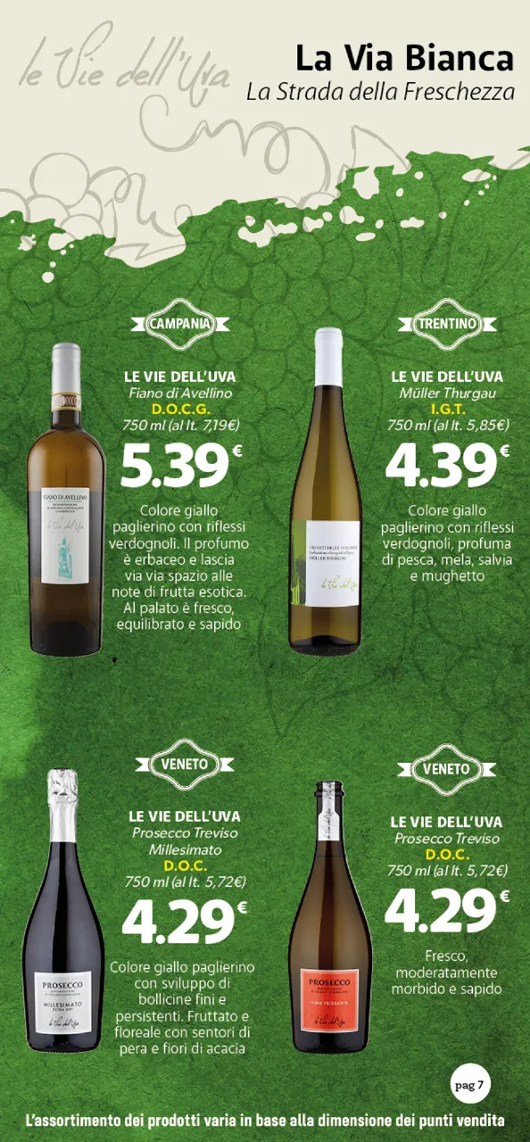 Pagina 7
