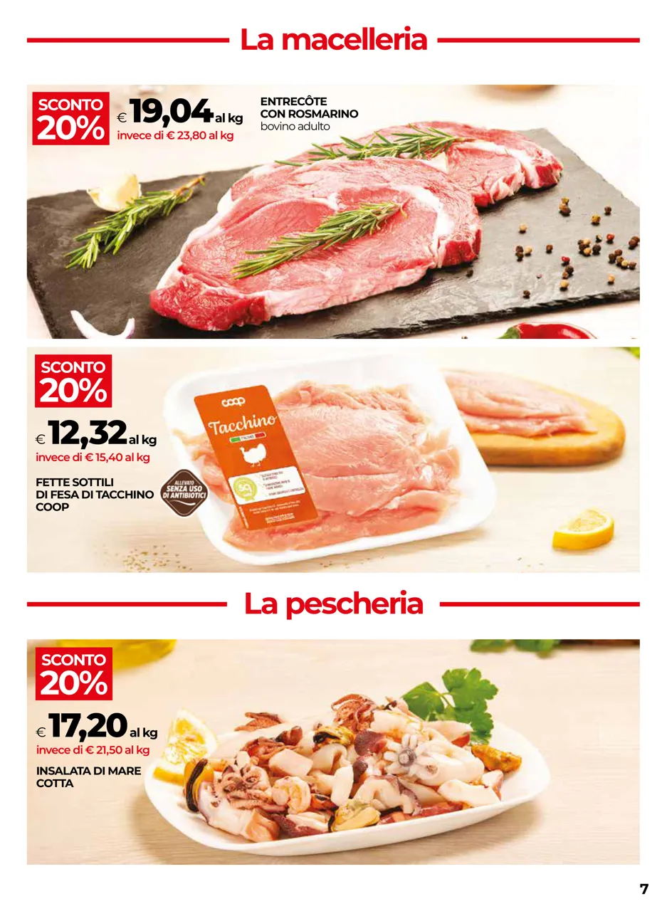 Pagina 7