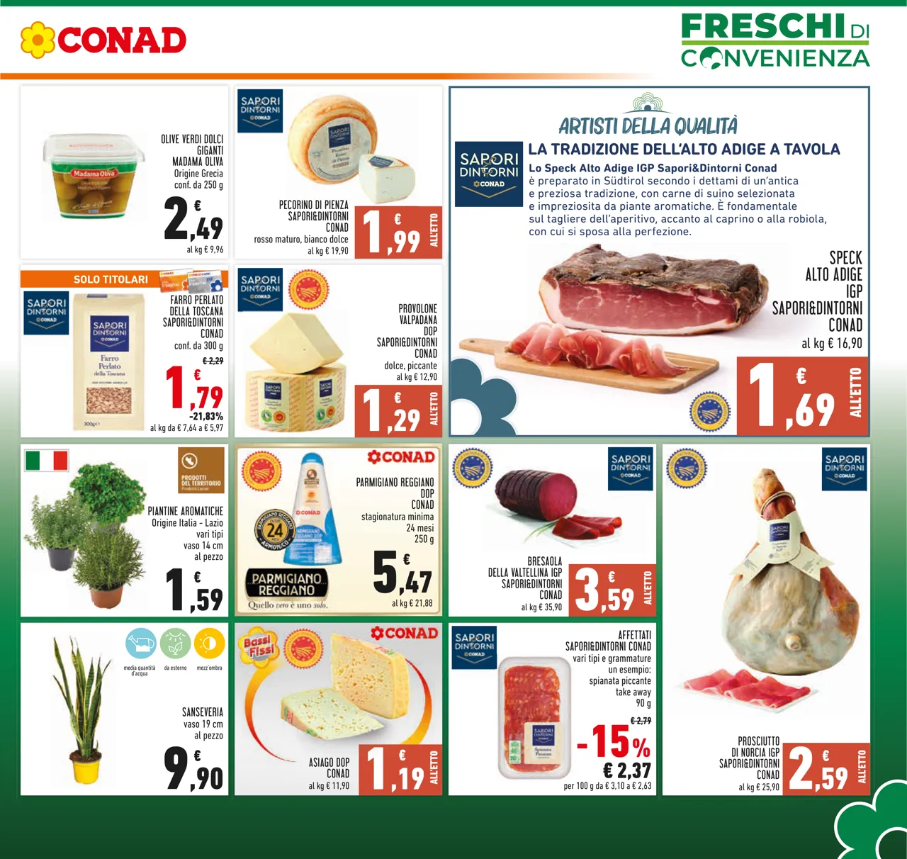 Pagina 5