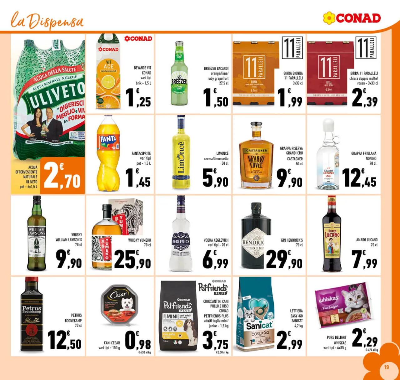 Pagina 19