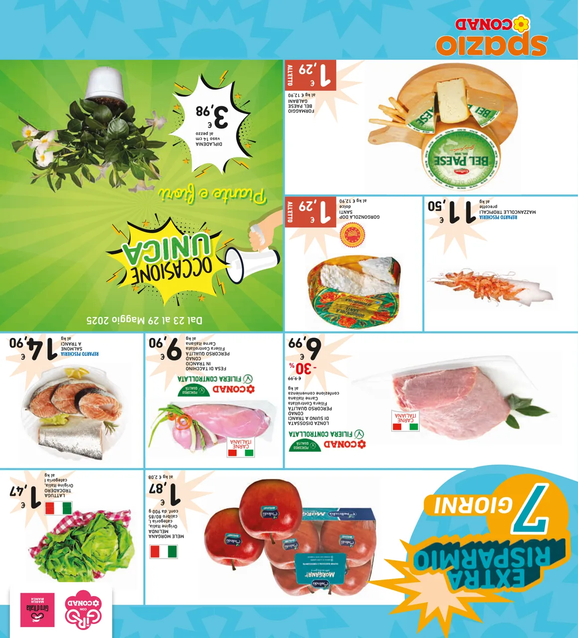 Pagina 32