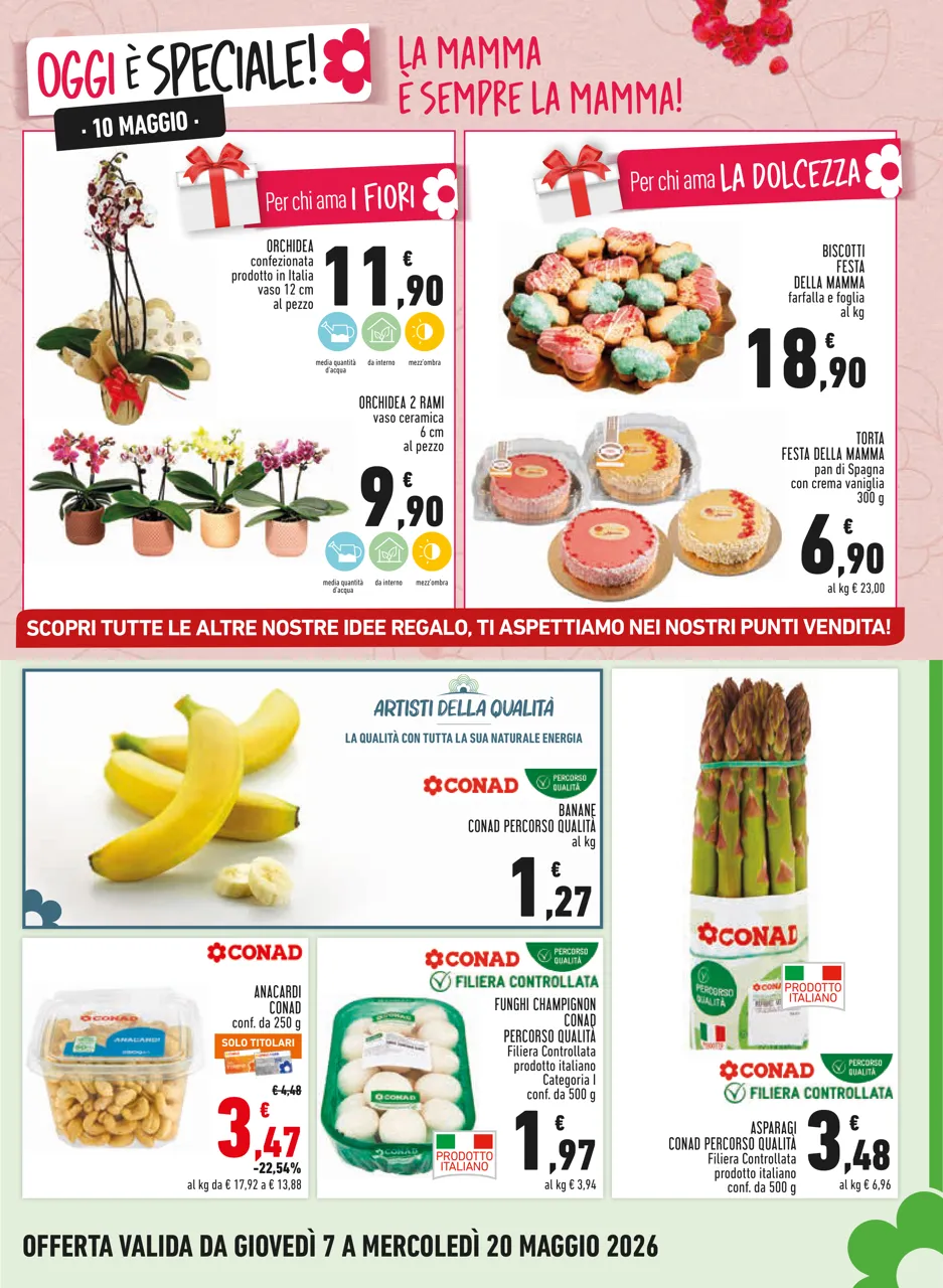 Pagina 5
