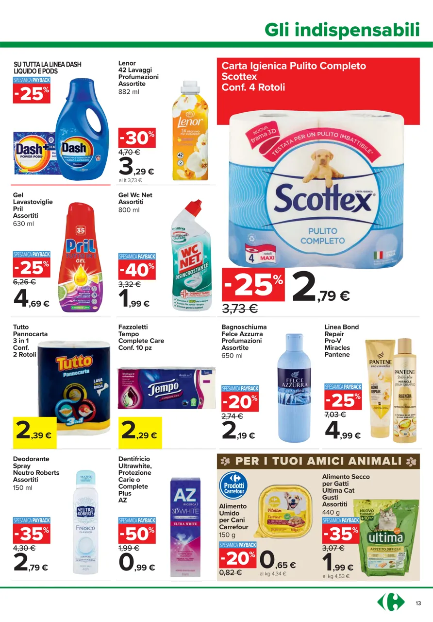 Pagina 13
