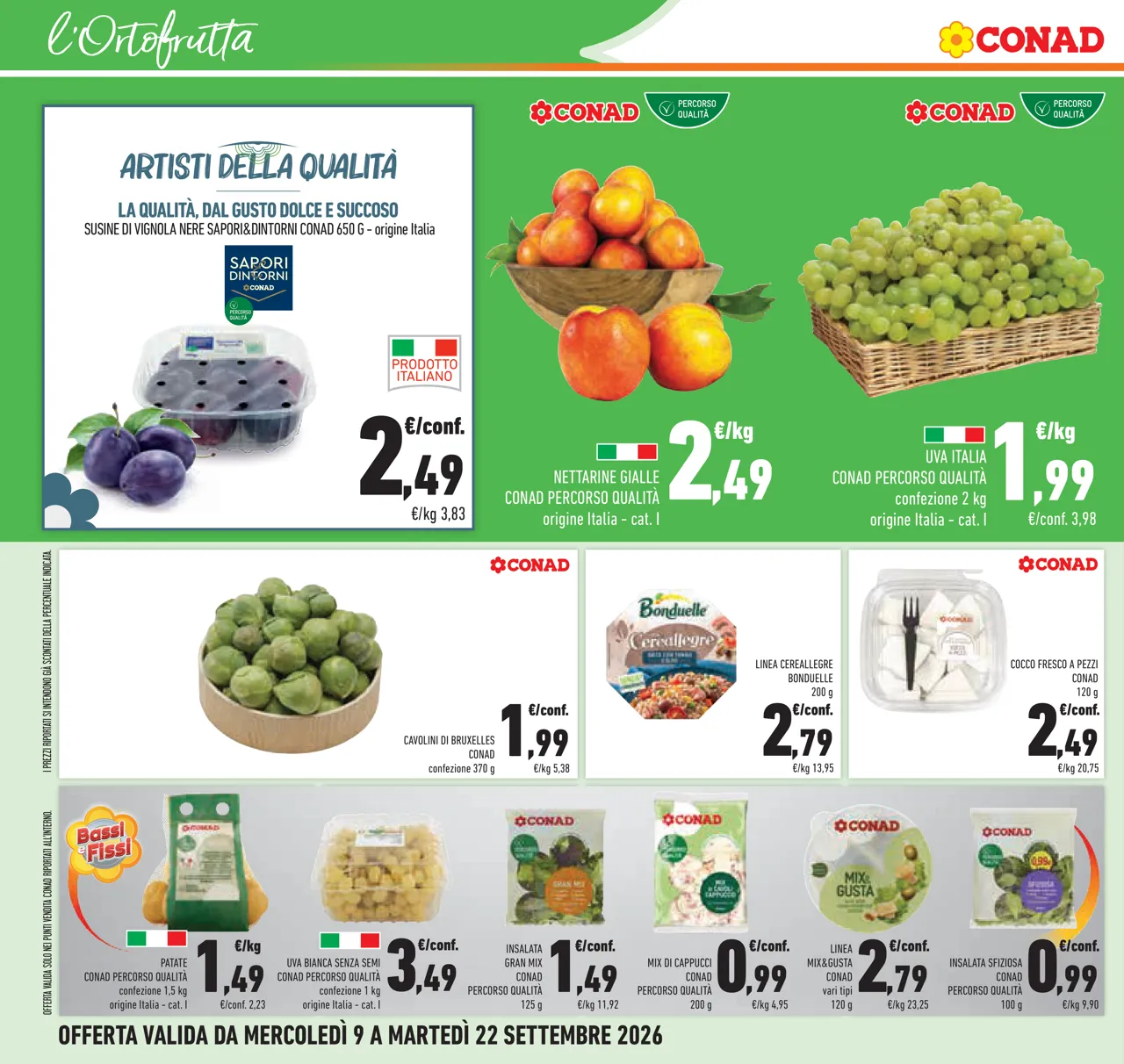 Pagina 24