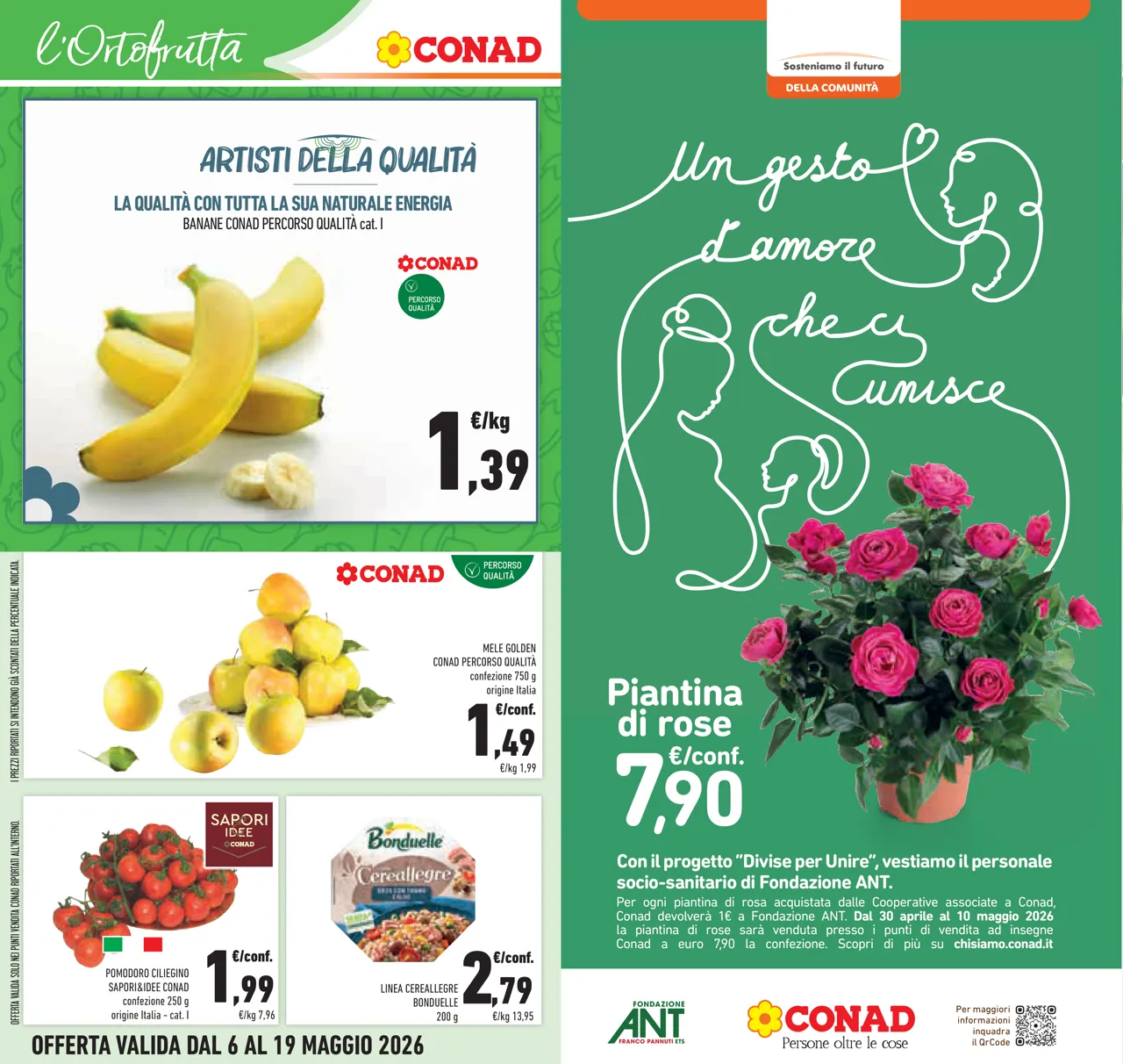 Pagina 12