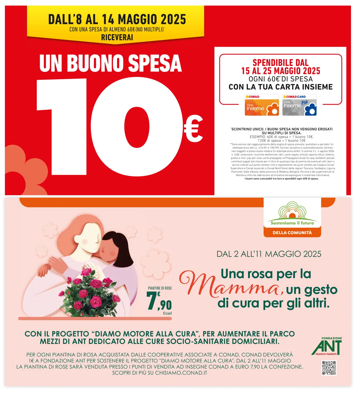 Pagina 2