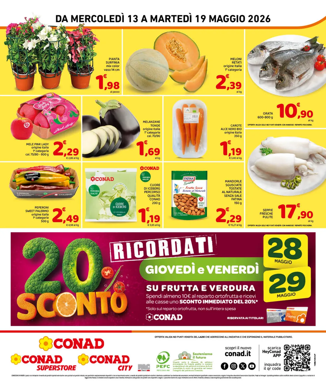 Pagina 8