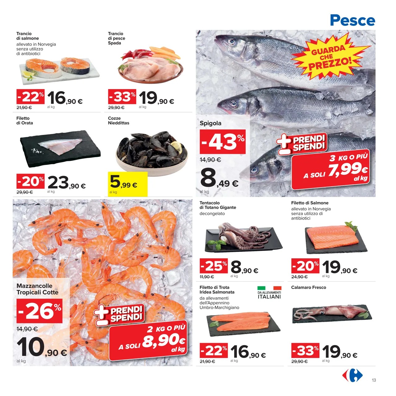 Pagina 13