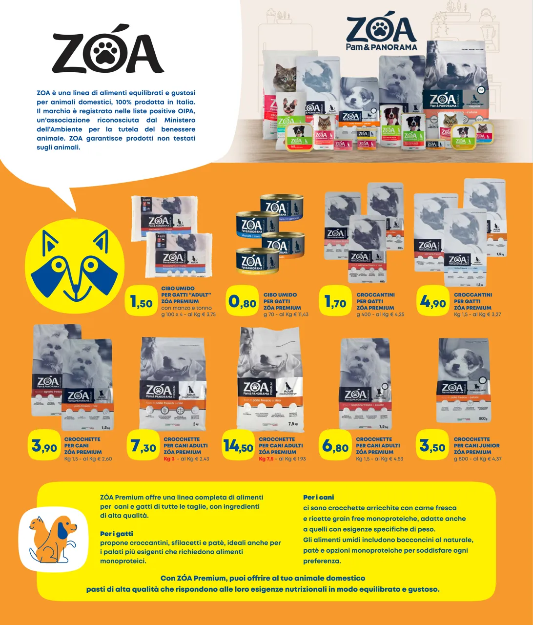 Pagina 8