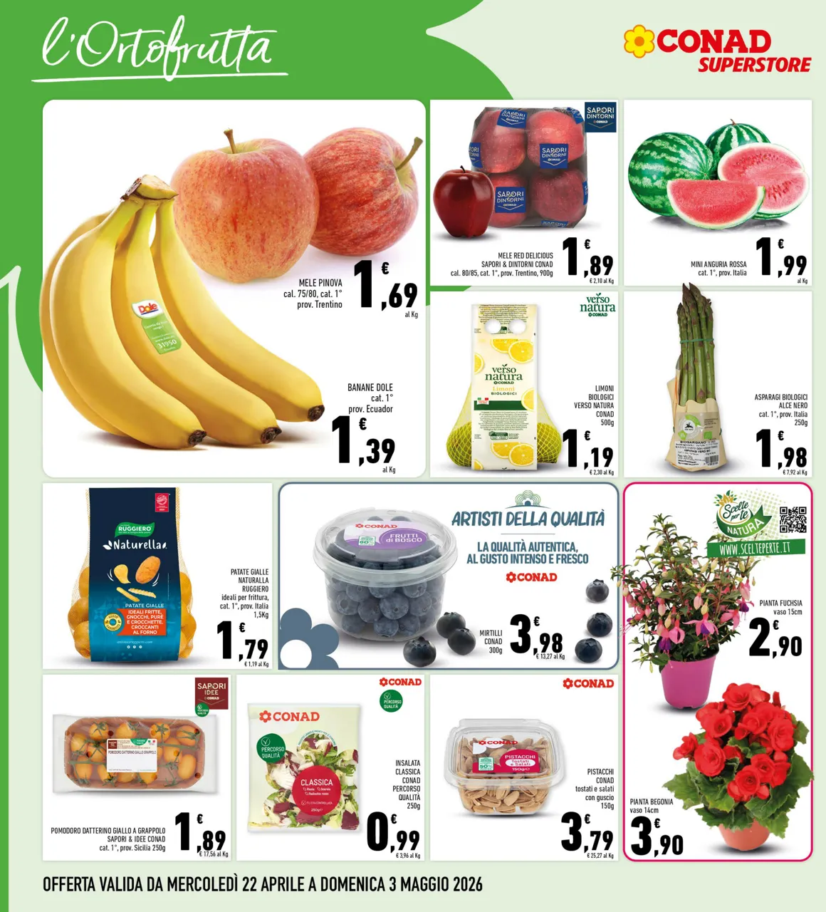 Pagina 4