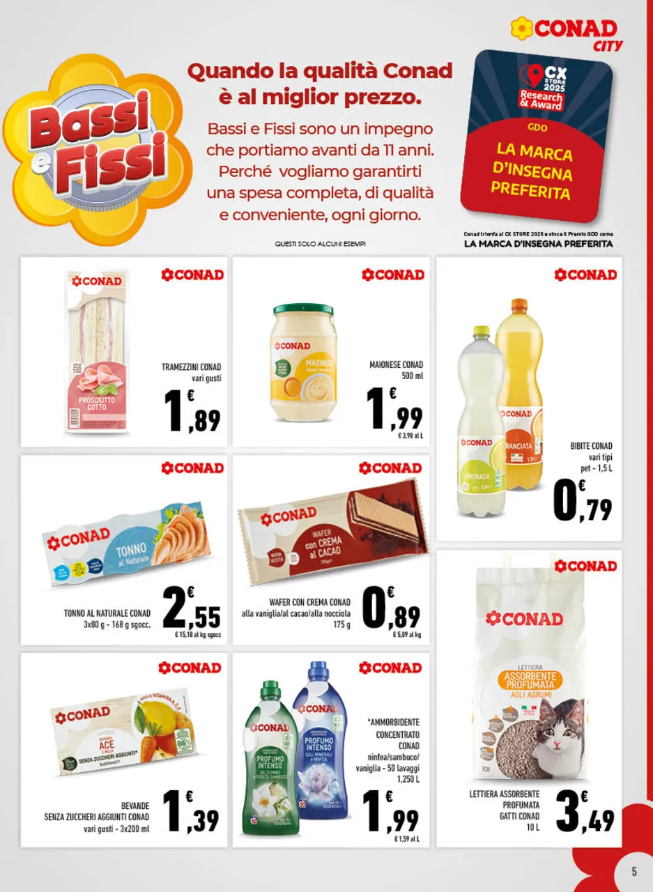 Pagina 5
