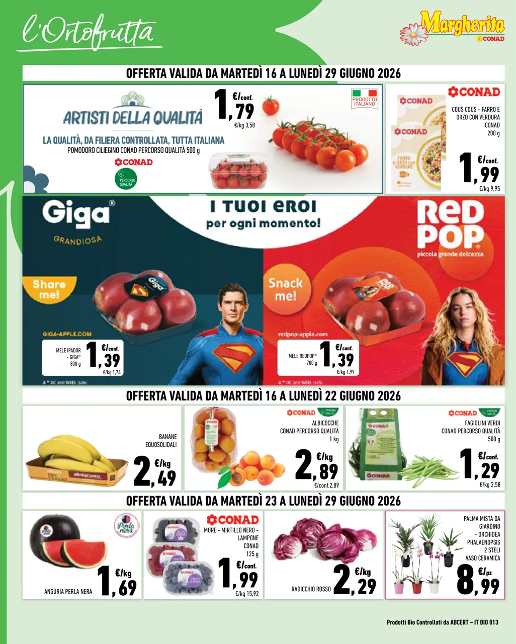 Pagina 2