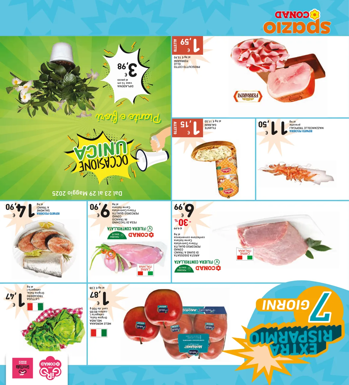 Pagina 32