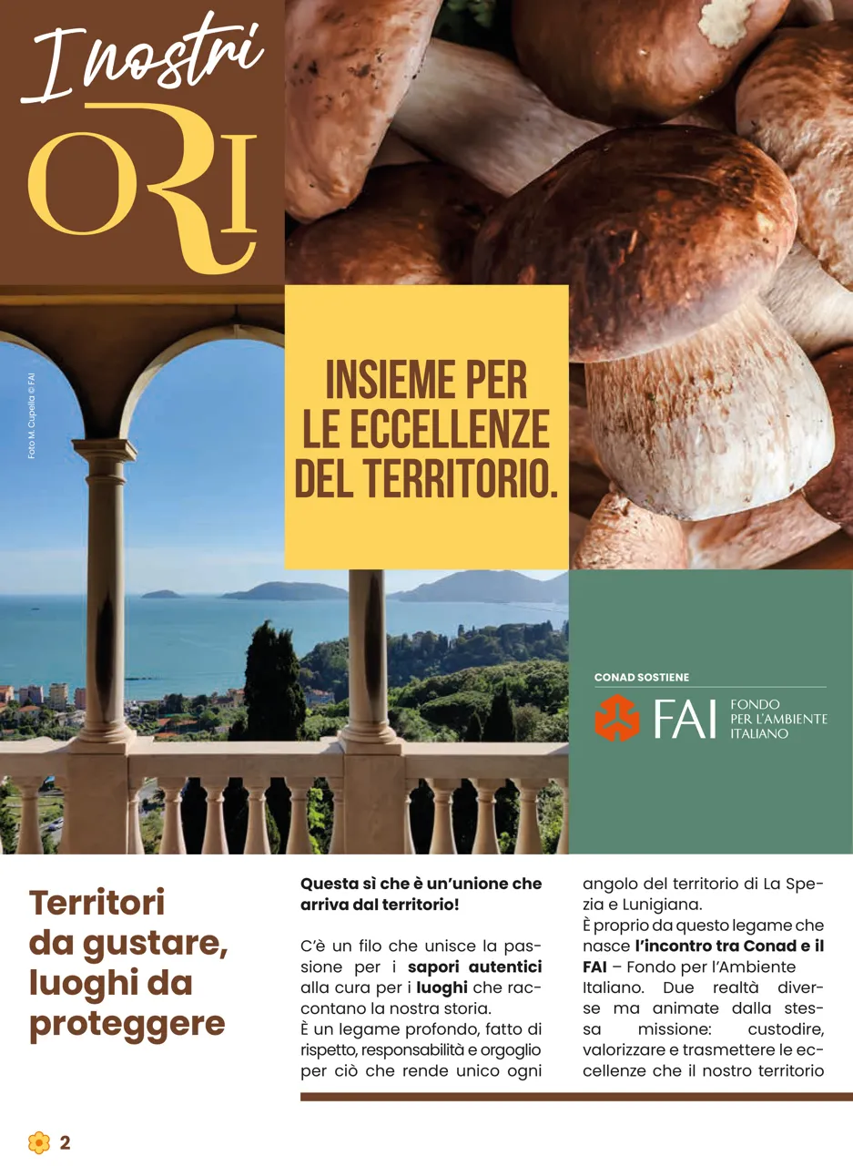 Pagina 2