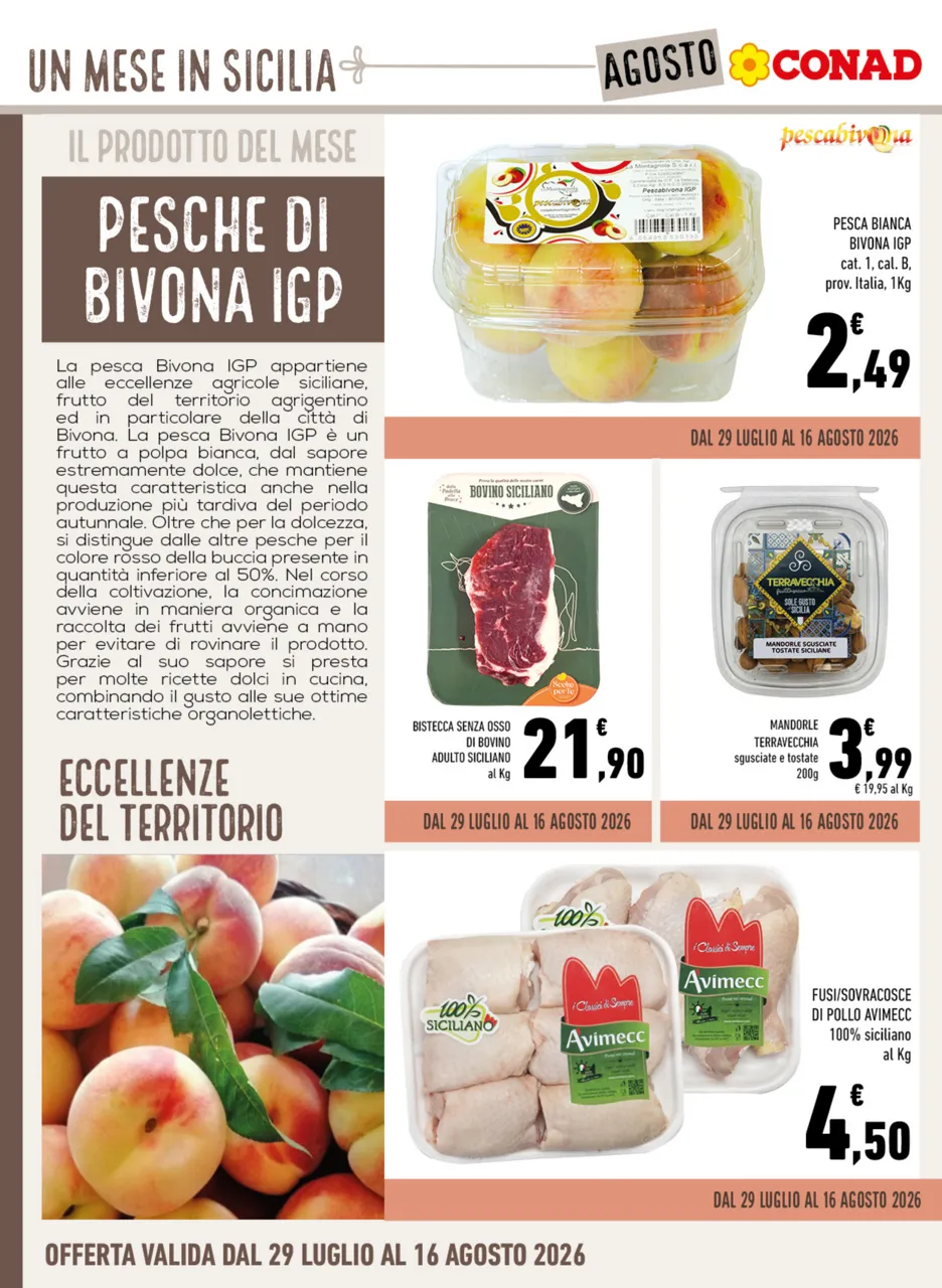 Pagina 6