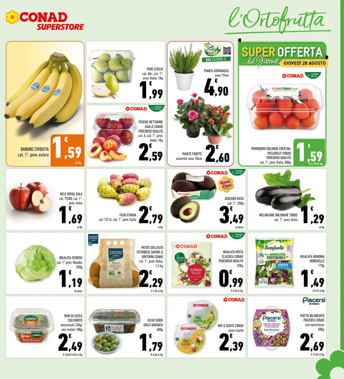 Pagina 5