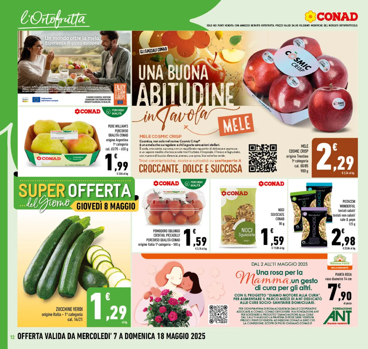 Pagina 12
