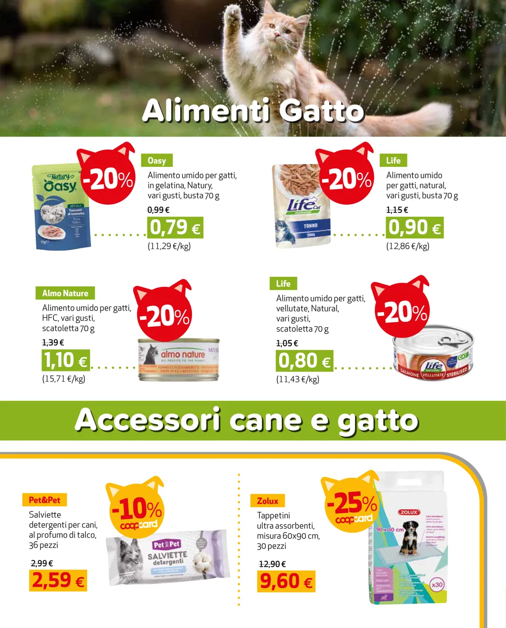 Pagina 8