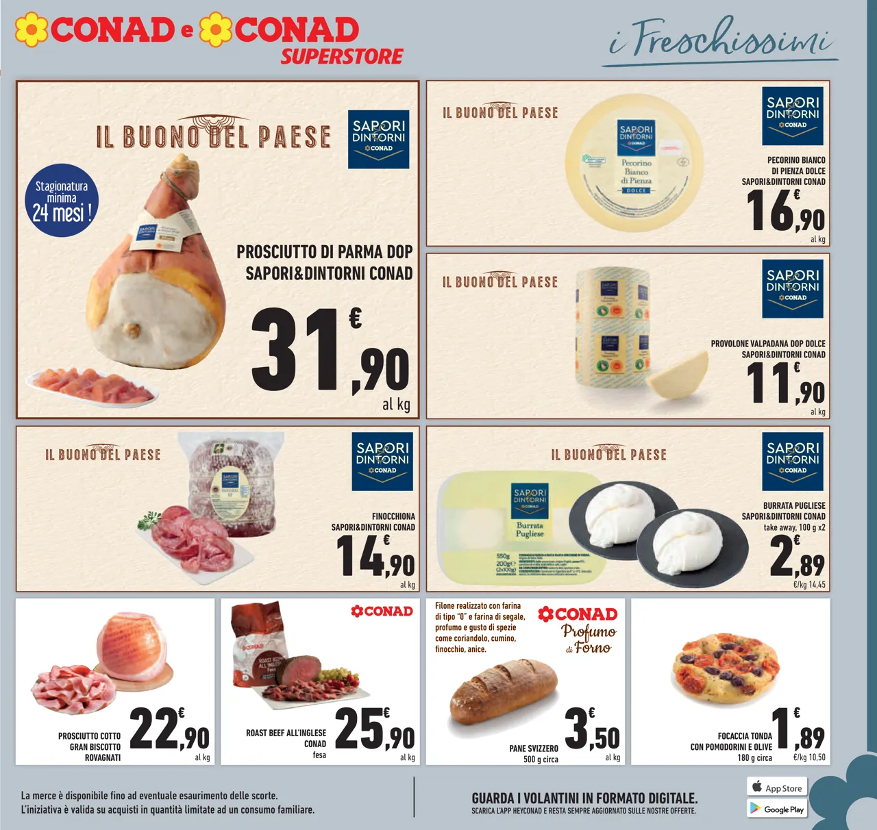 Pagina 11