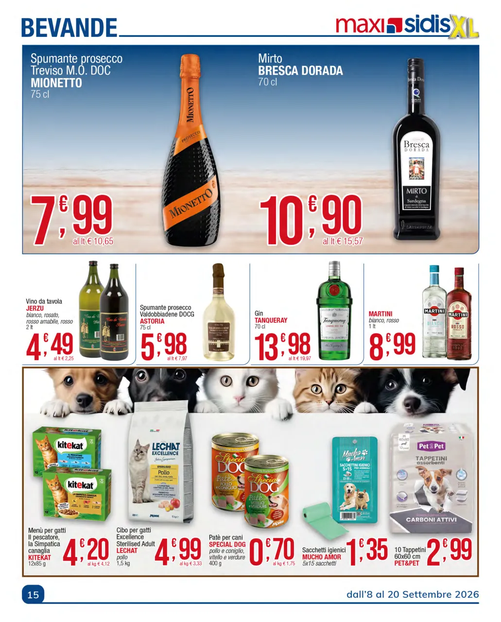 Pagina 15