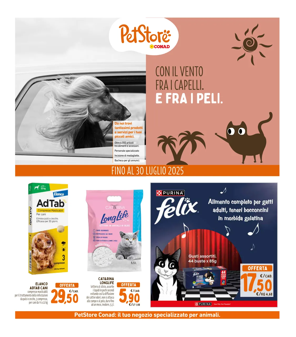 Pagina 37