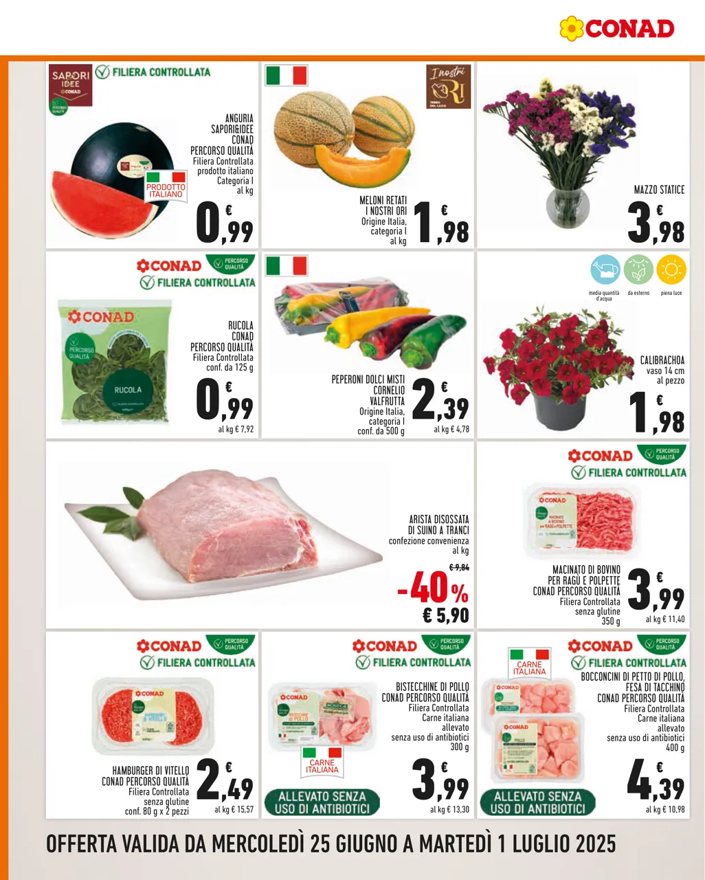 Pagina 2