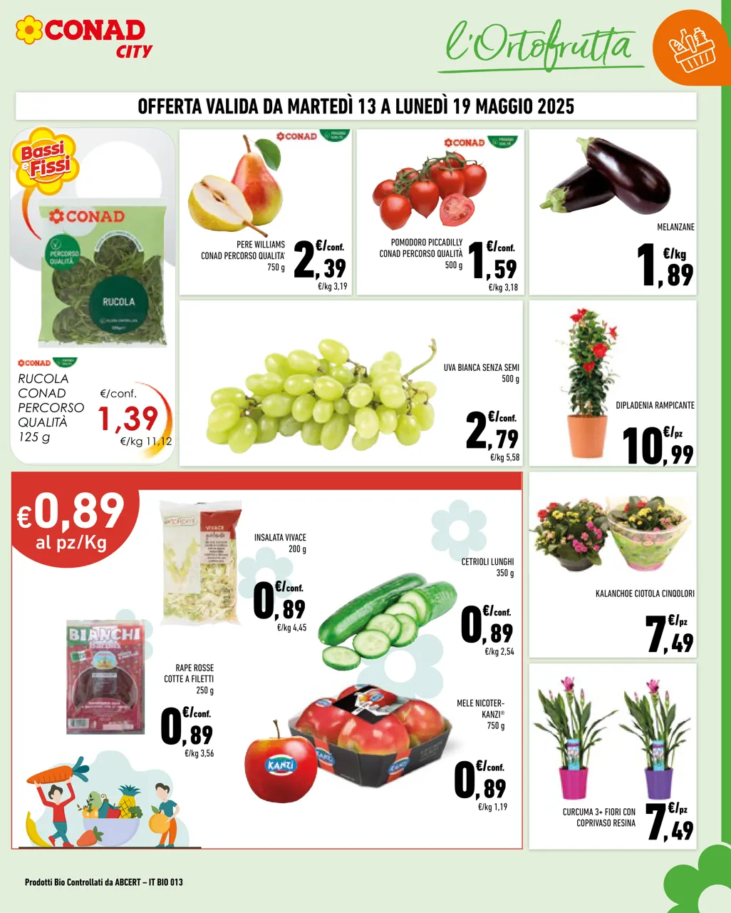 Pagina 3