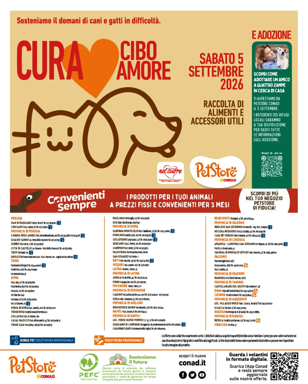 Pagina 8