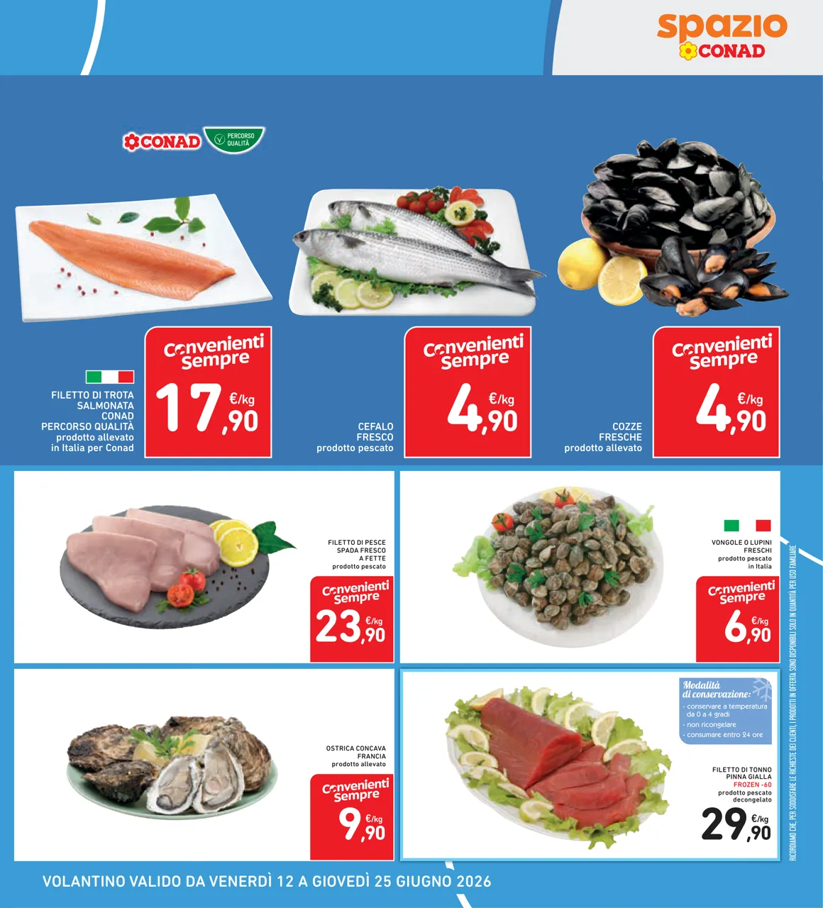 Pagina 27