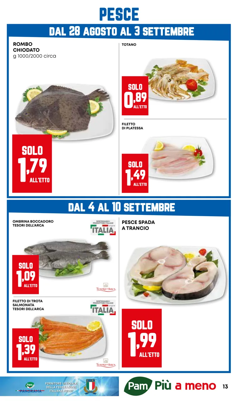Pagina 13