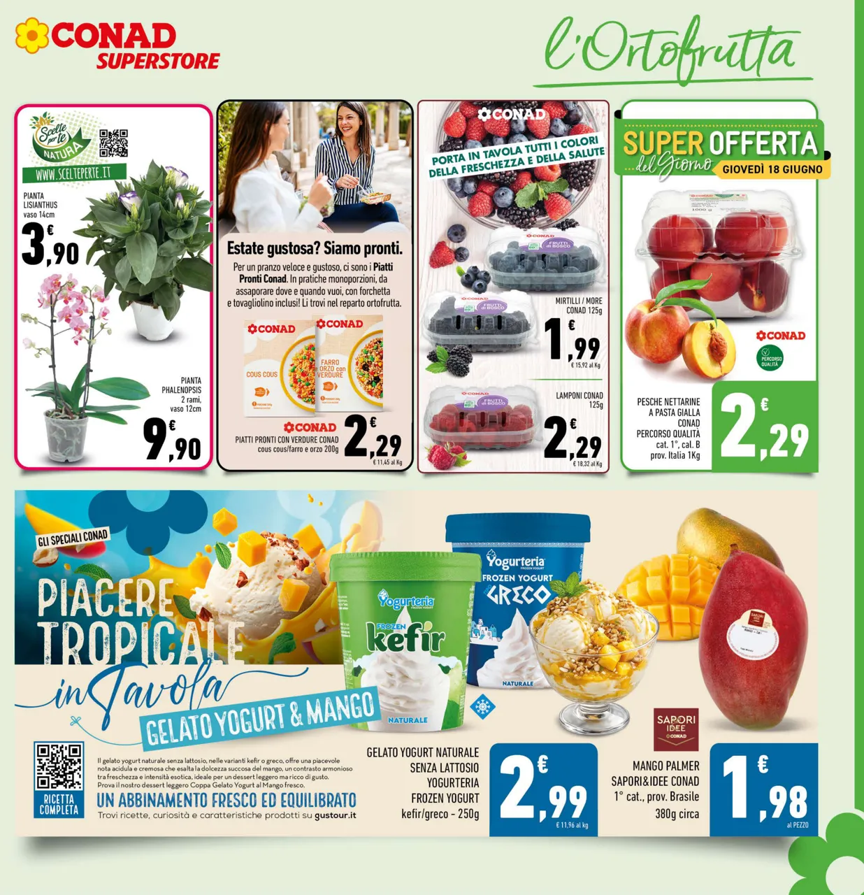 Pagina 5