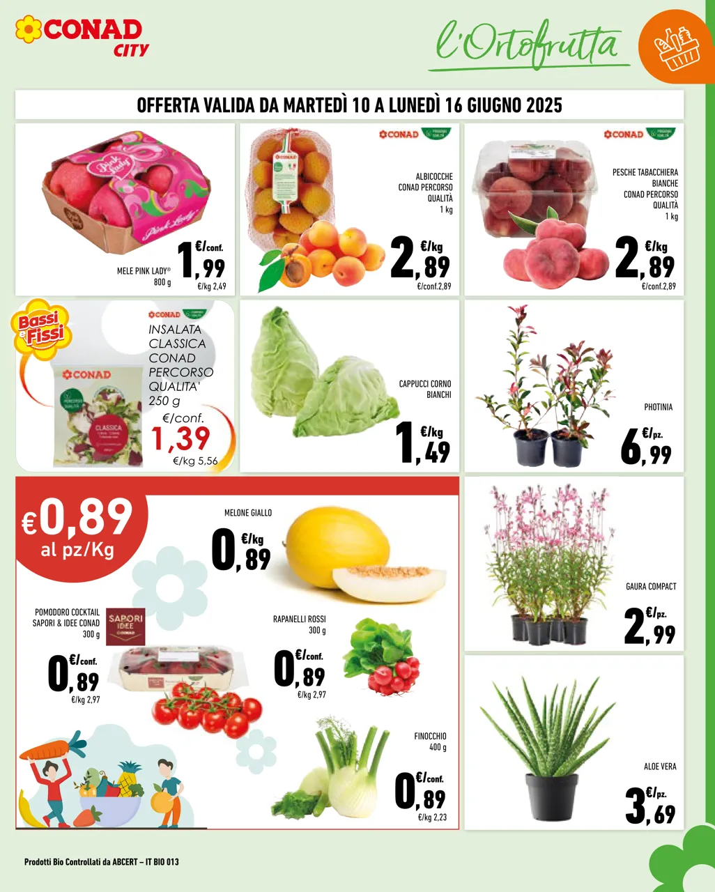 Pagina 3