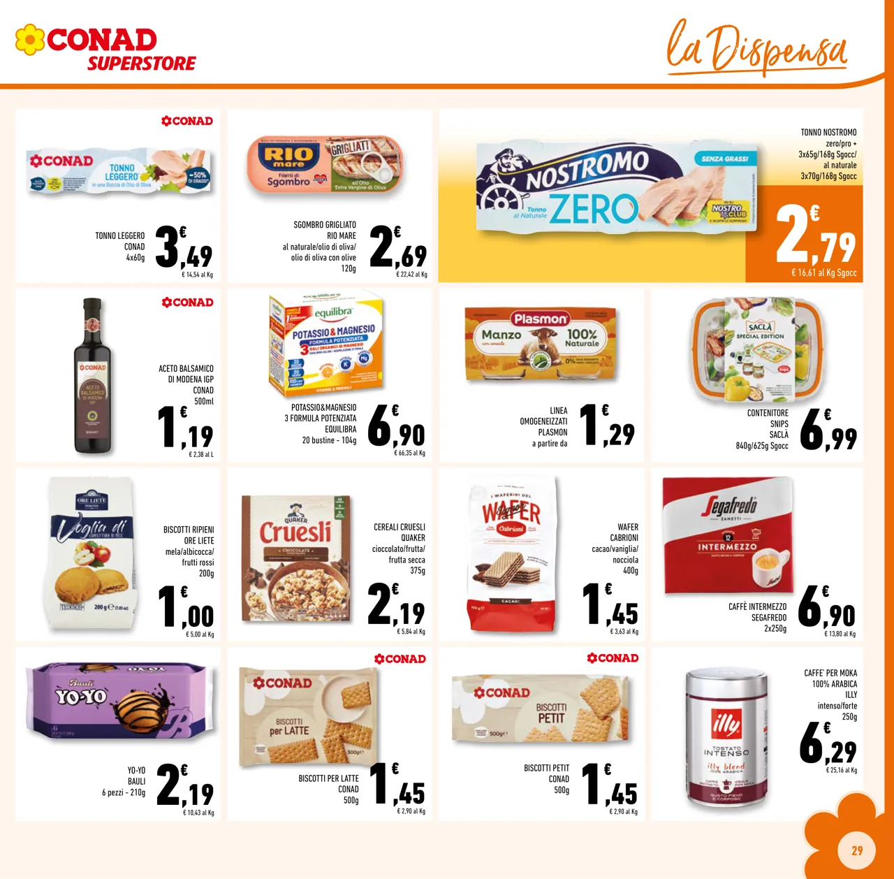 Pagina 29