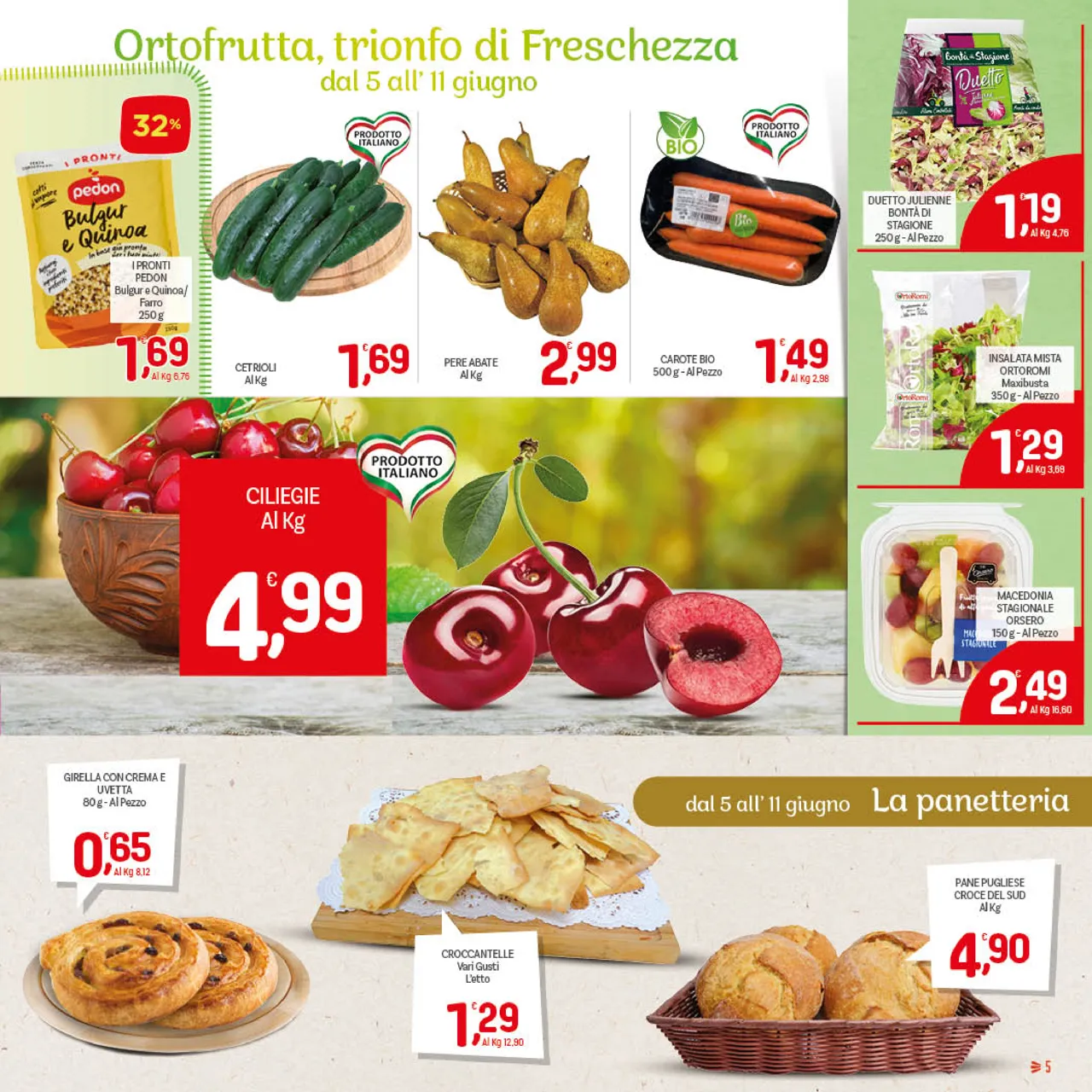 Pagina 5