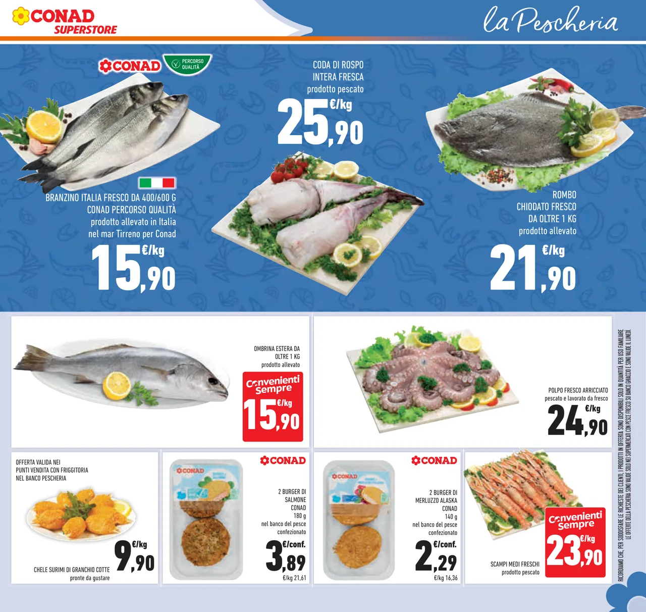 Pagina 29