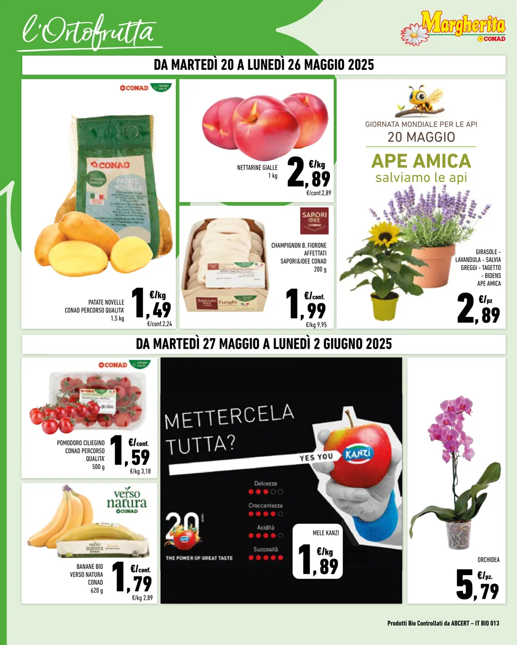Pagina 4
