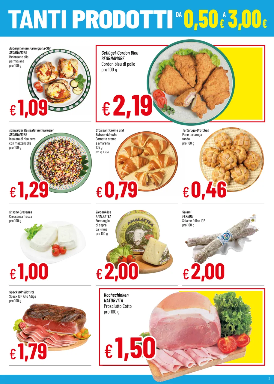 Pagina 3