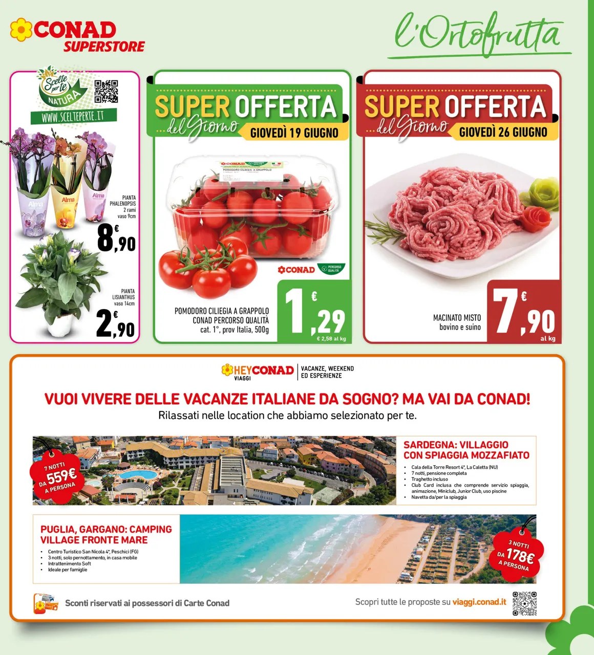 Pagina 7
