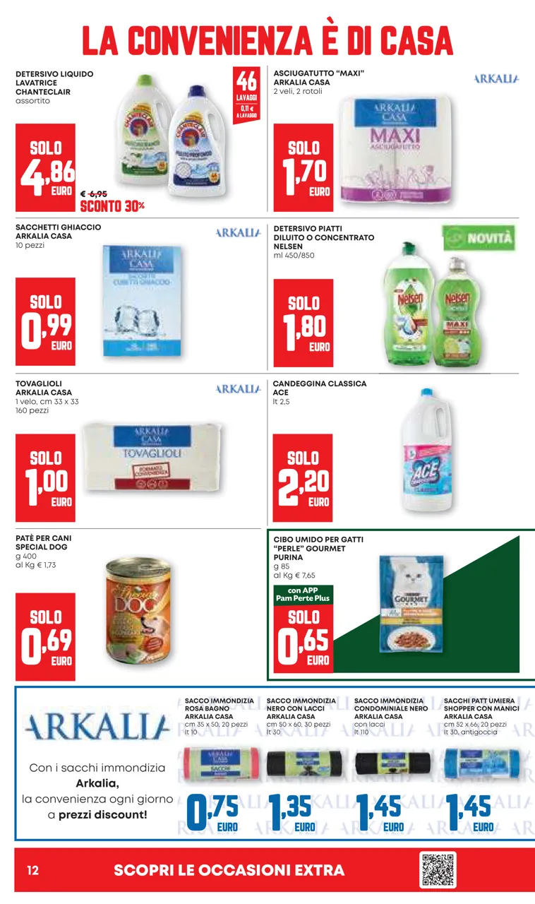 Pagina 12