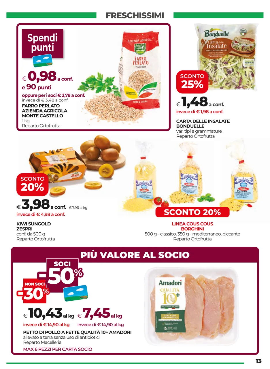 Pagina 13