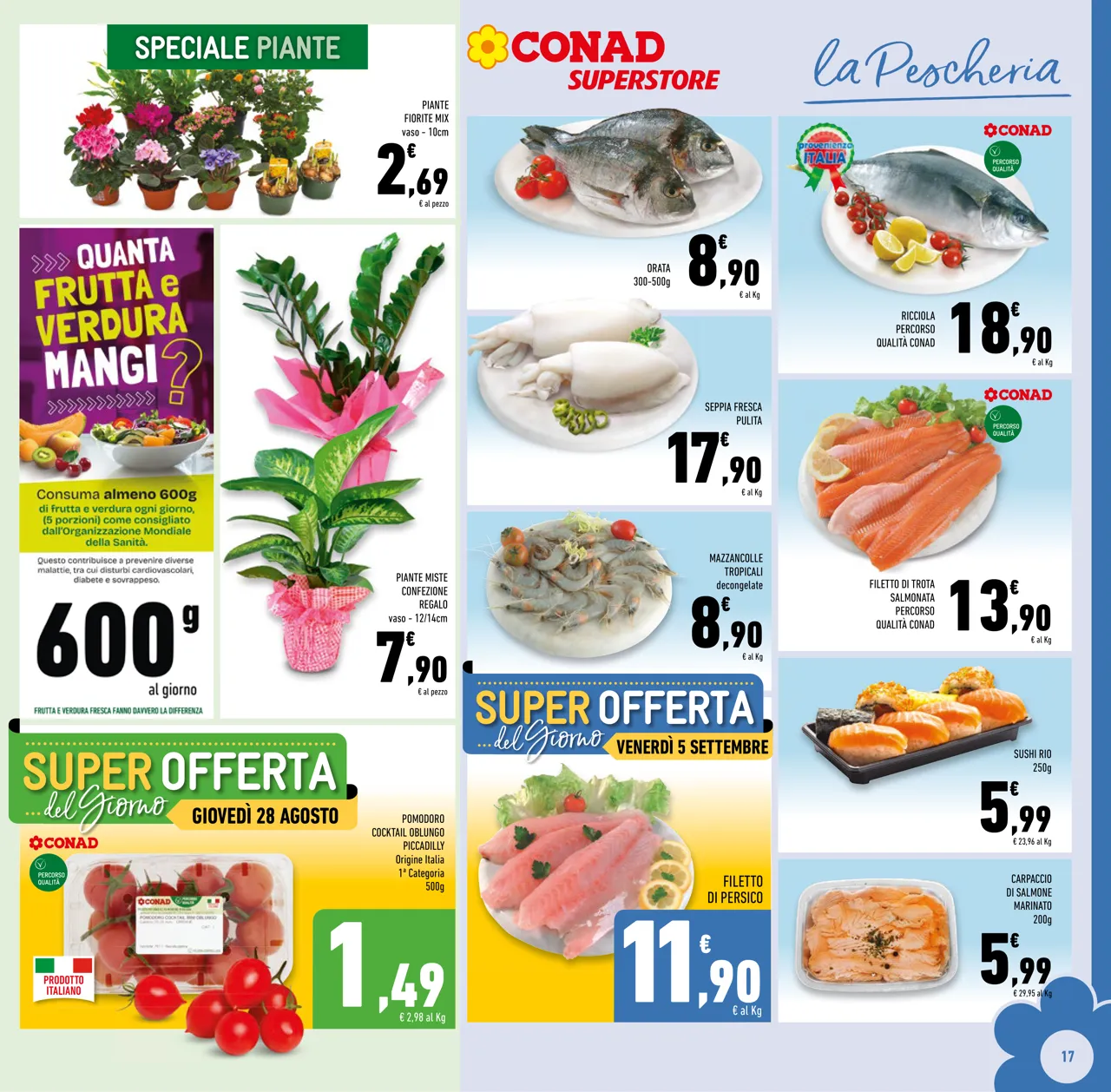 Pagina 17