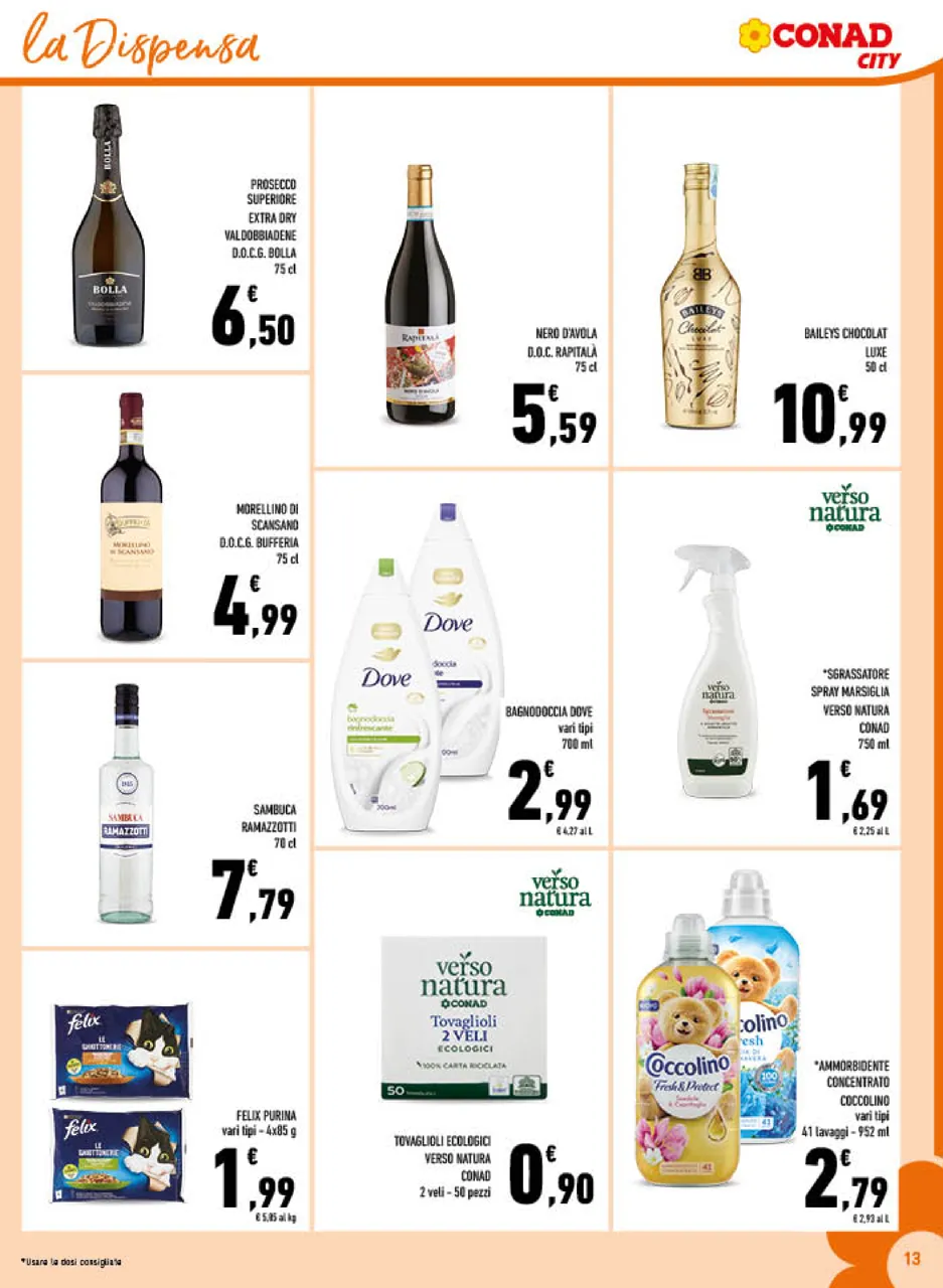 Pagina 13