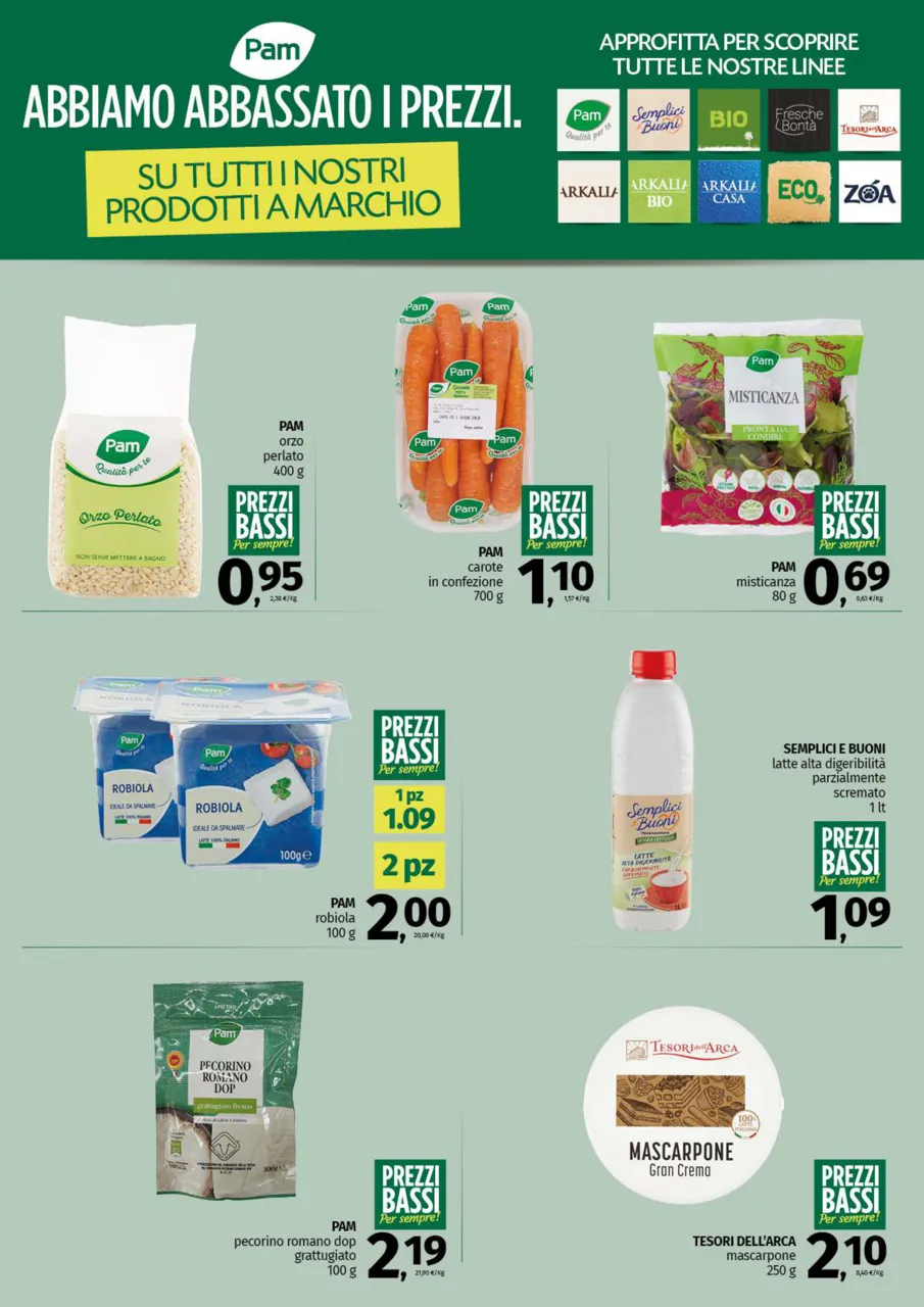Pagina 3
