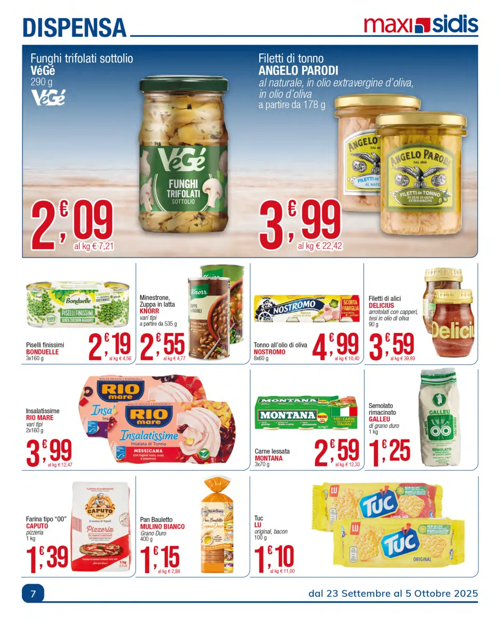 Pagina 7