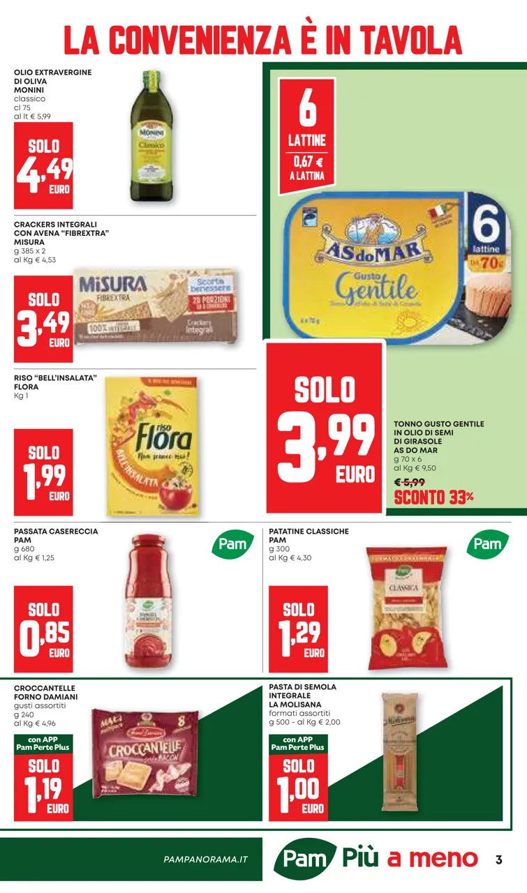 Pagina 3